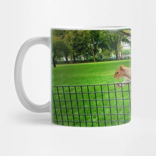 Red Squirrel Mug